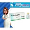 CEFTRIAXONA AMPx1GRx10